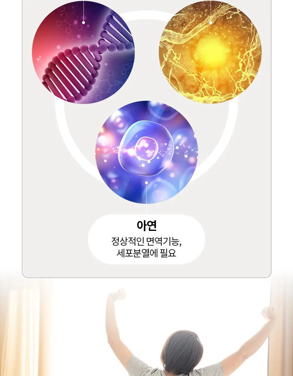 [체지방 감소] 그린몬스터 안티스트레스 다이어트 칼로버닝 28포 (2주분) 상세페이지 21